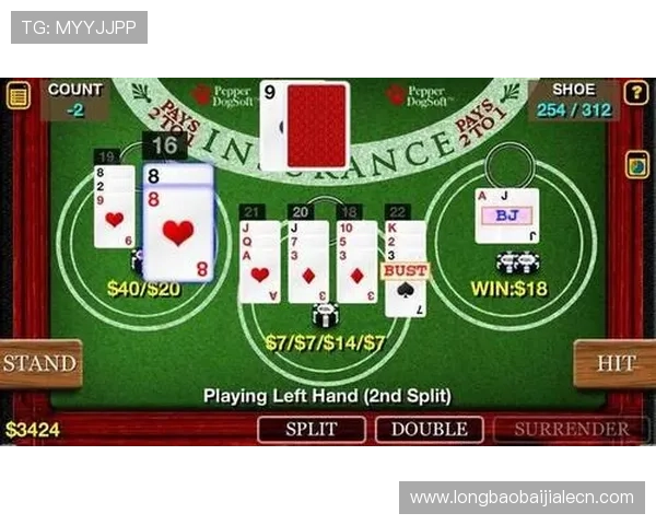 新手必看百家乐怎么玩从零开始学习百家乐玩法攻略