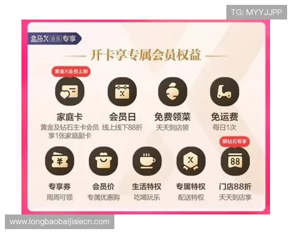 亚星百家会员尊享特权全面解析助你轻松掌握会员权益提升游戏体验