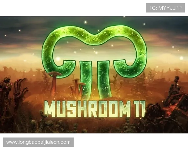 皇冠真人手机app安全稳定运行，保障玩家隐私与资金安全的最佳选择