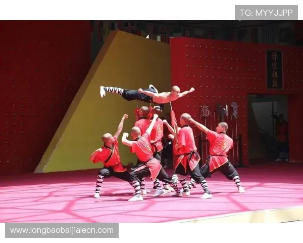 腾龙真人现场互动体验全攻略让你零距离感受武术的魅力与现场氛围